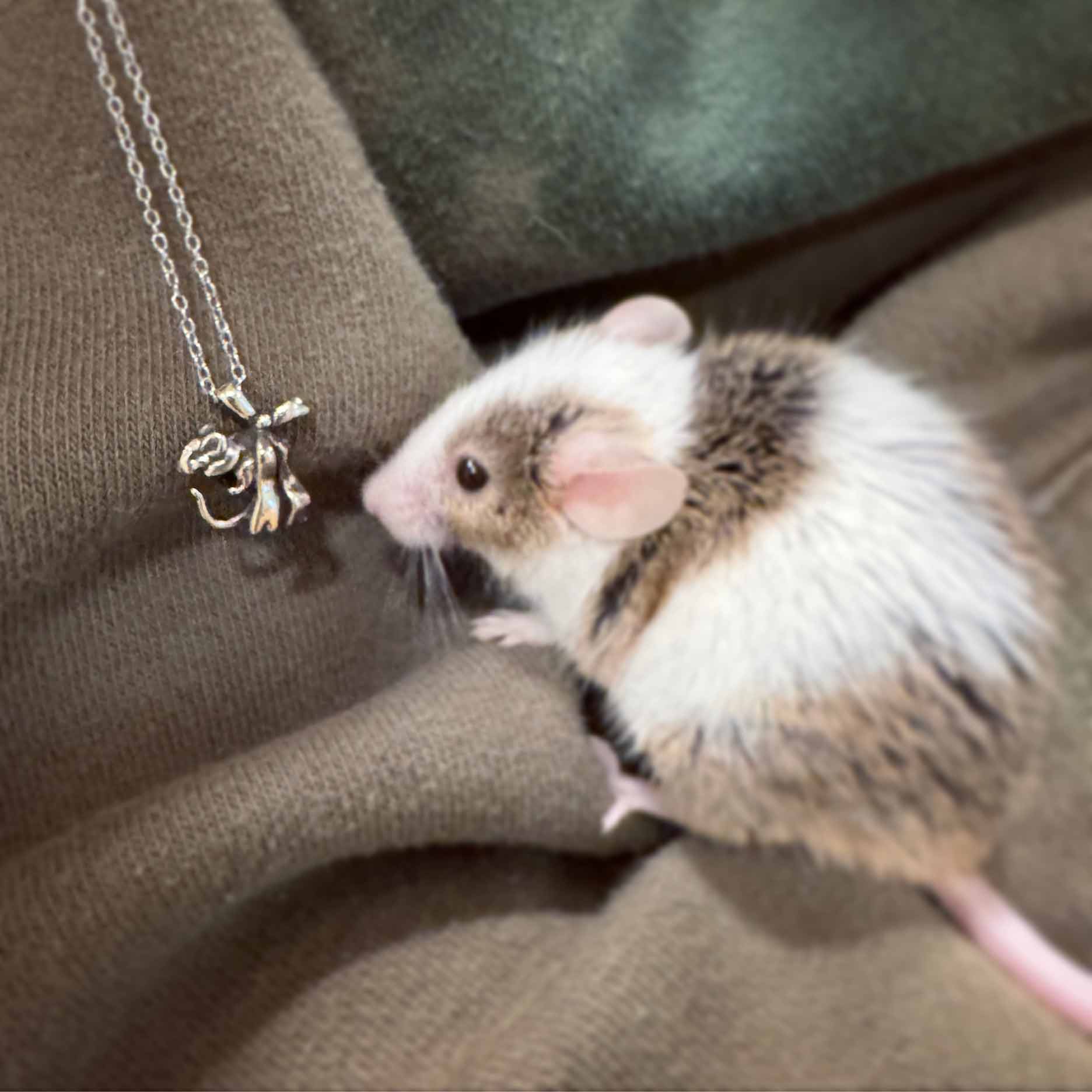 Rat Bow Necklace - Image 15