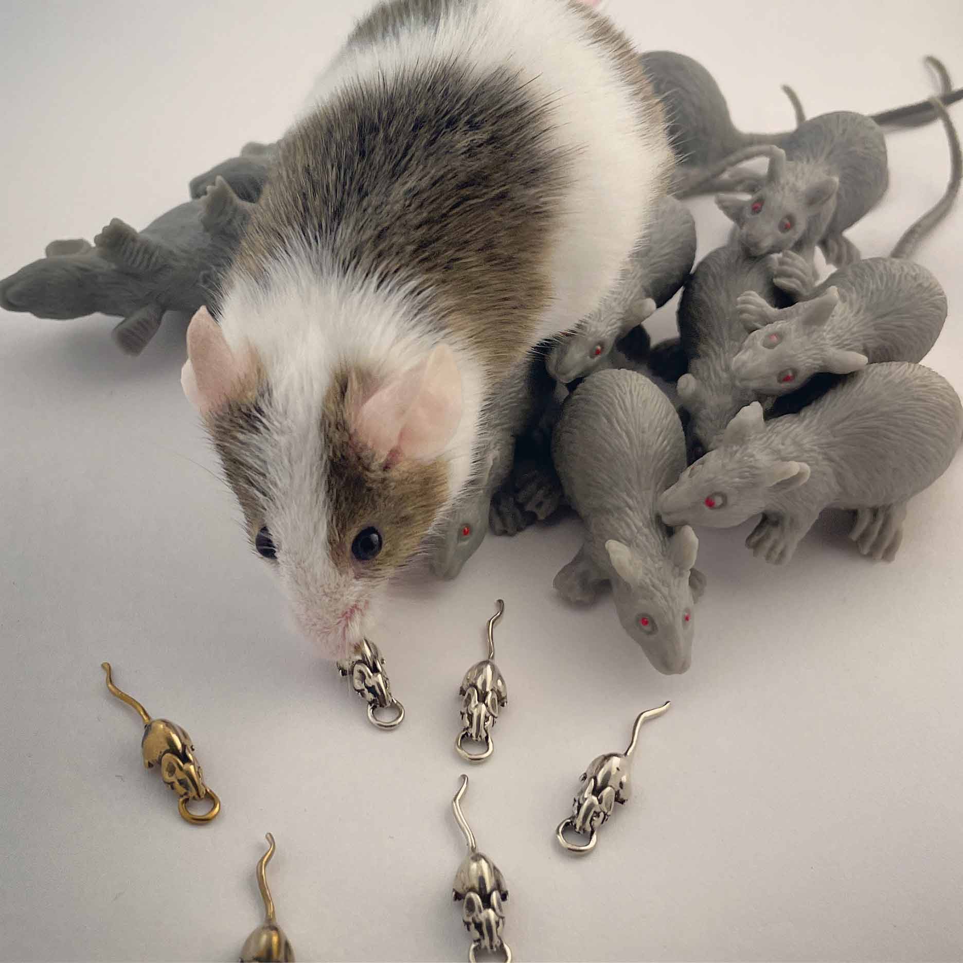 Rat Hoop Earrings Ready to Ship - Image 10
